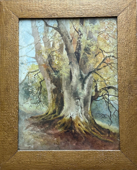 Celia P. Culverwell (1849-1932), Study of Beeches, Beauparc