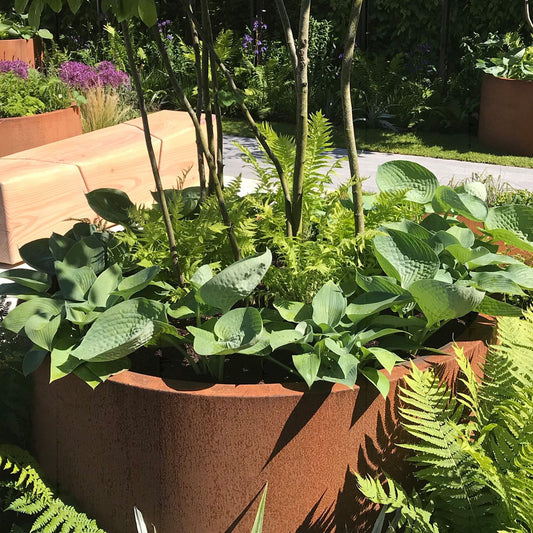 Corten steel planting bed, circular 100cm diameter