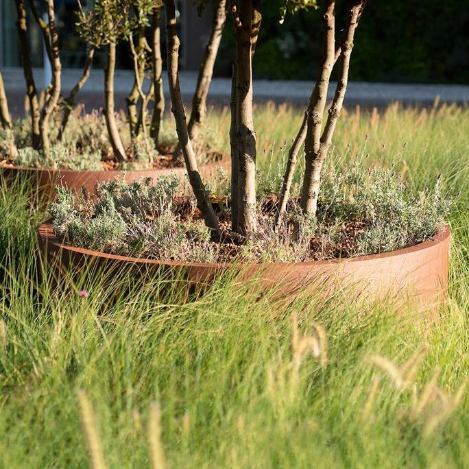 Corten steel planting bed, circular 100cm diameter