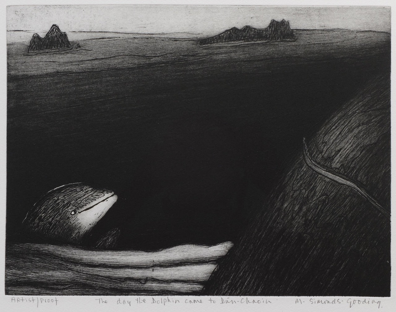 Maria Simonds Gooding, The Day the Dolphin came to Dún Chaoin