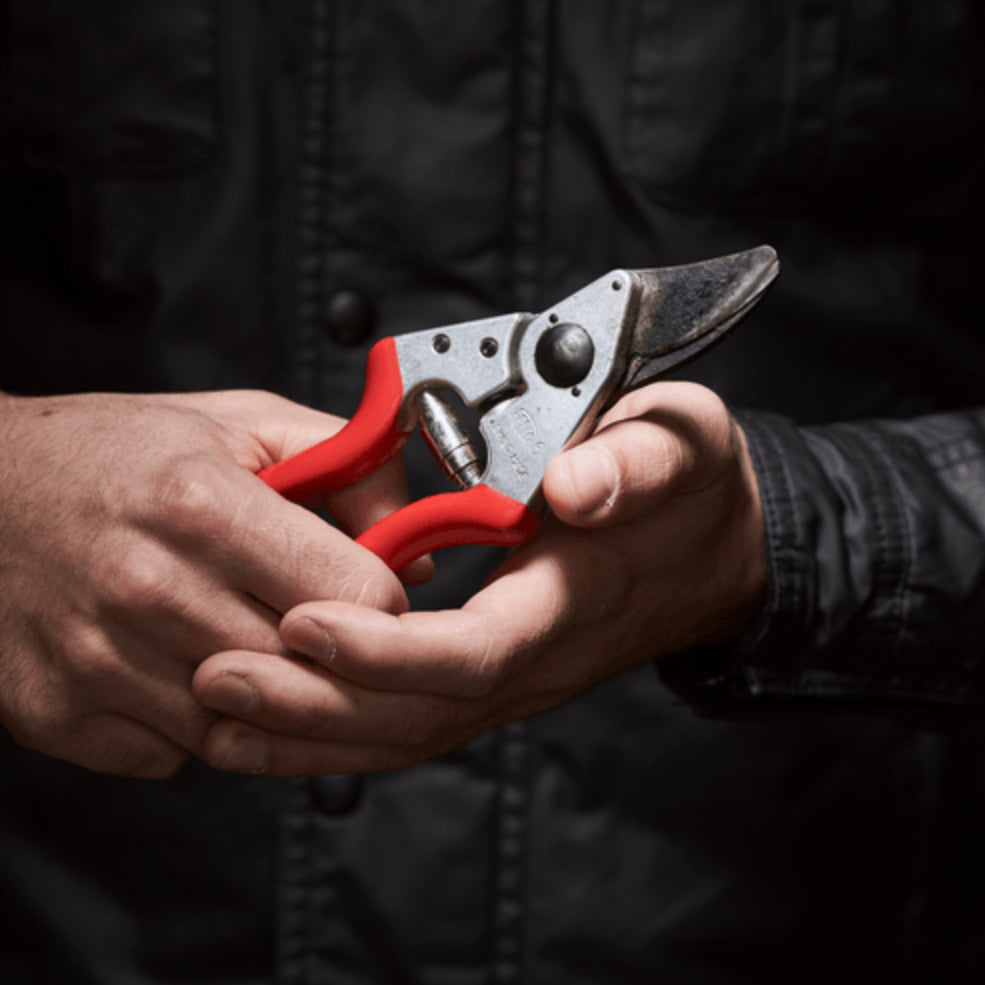 Felco 'No 6' compact secateurs for smaller hands