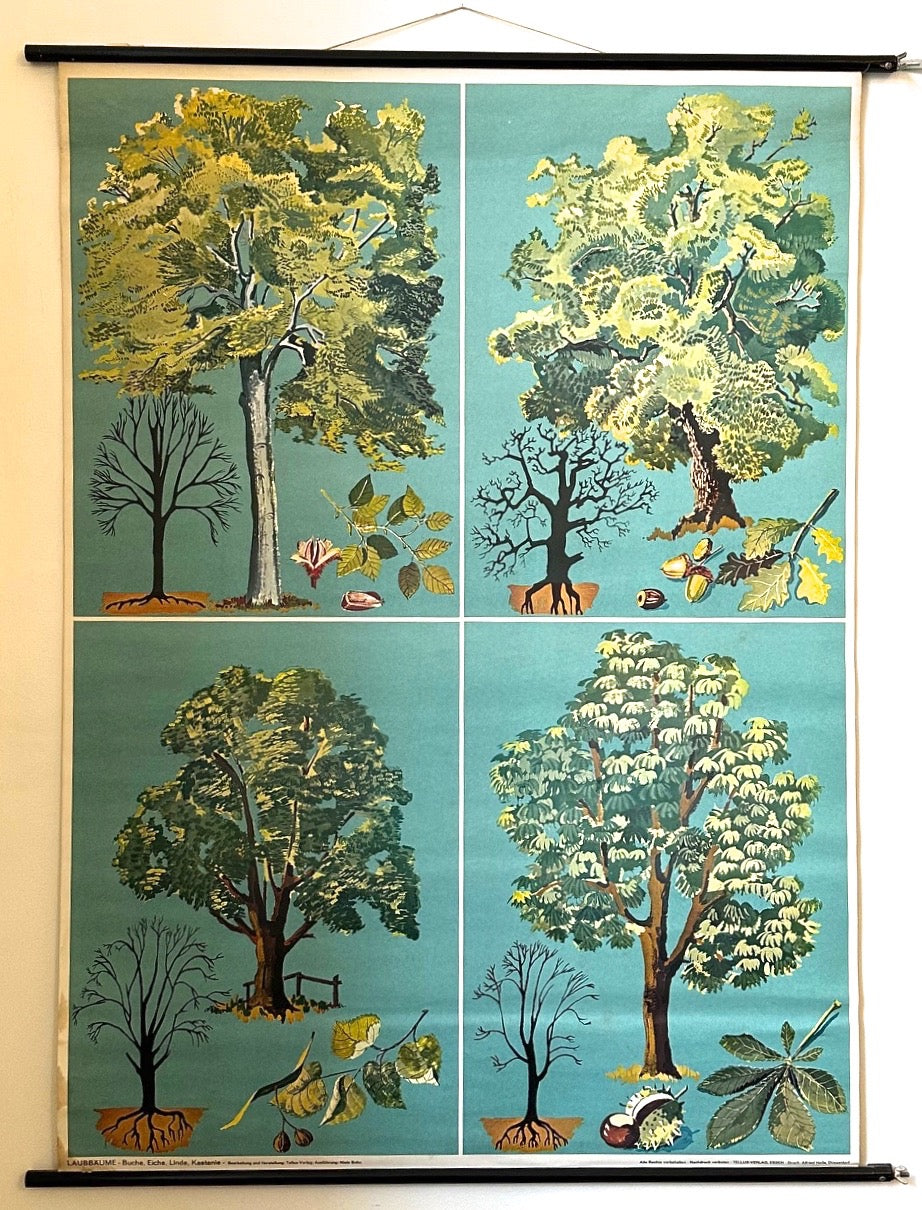 Original German 'Deciduous Trees' poster