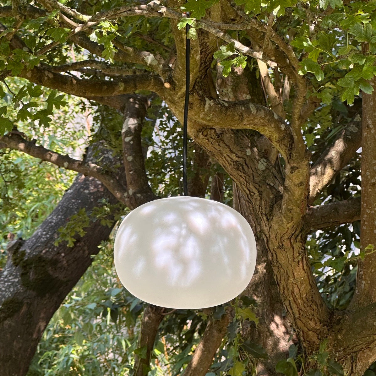 Solar 'Hanging Globe' garden light