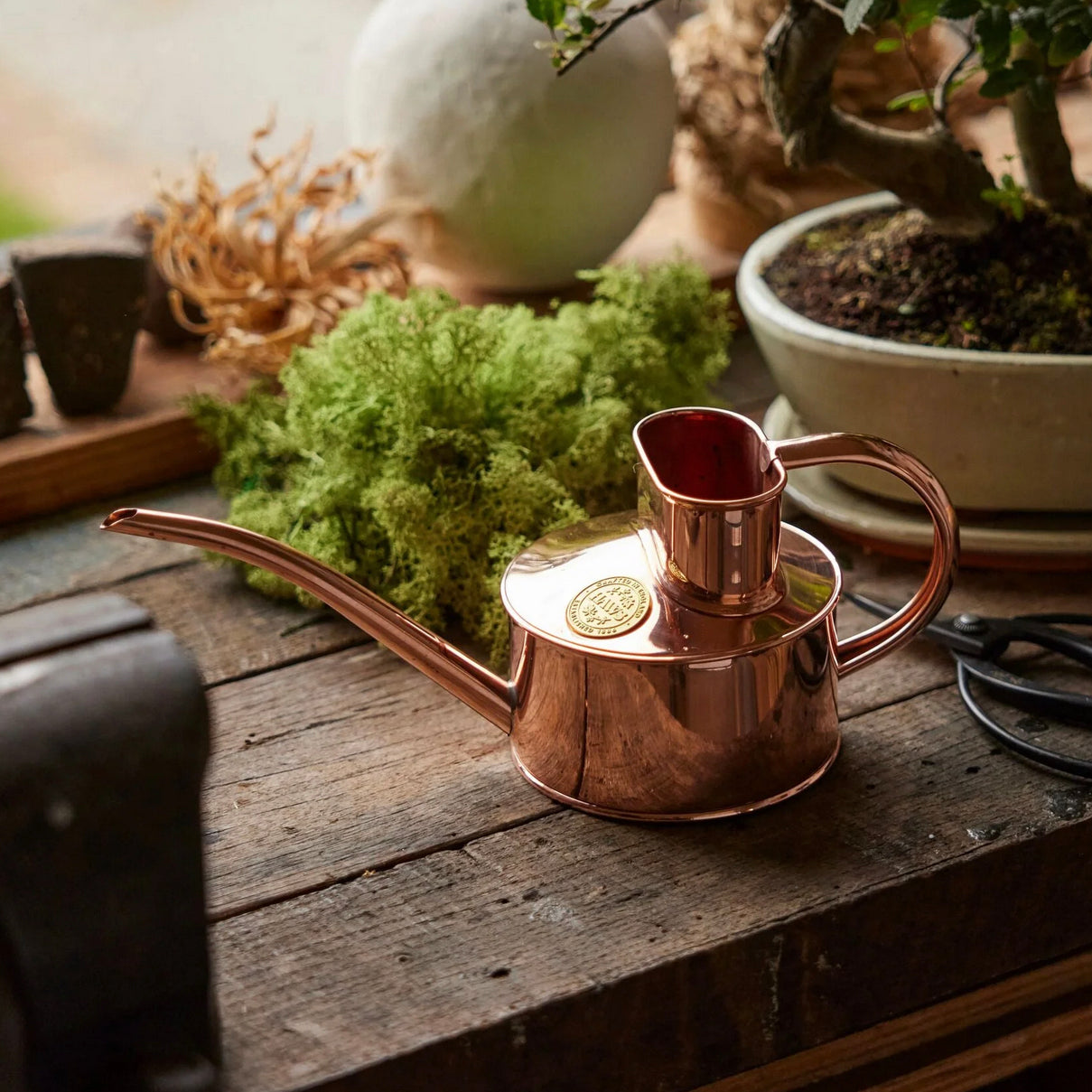 Haws copper watering can for indoor plants (2 sizes)
