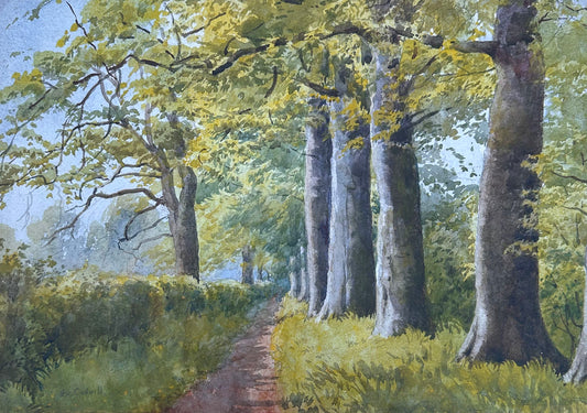 Helen Colville (1856-1953), Beech Trees