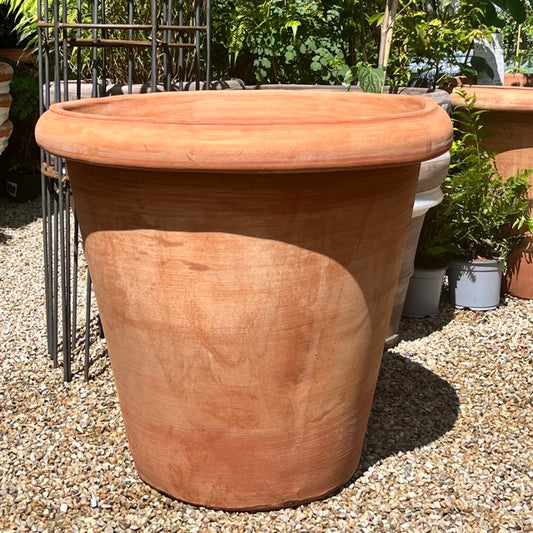 Italian 'Vaso Camelia' terracotta pot, 75cm dia (Copy)