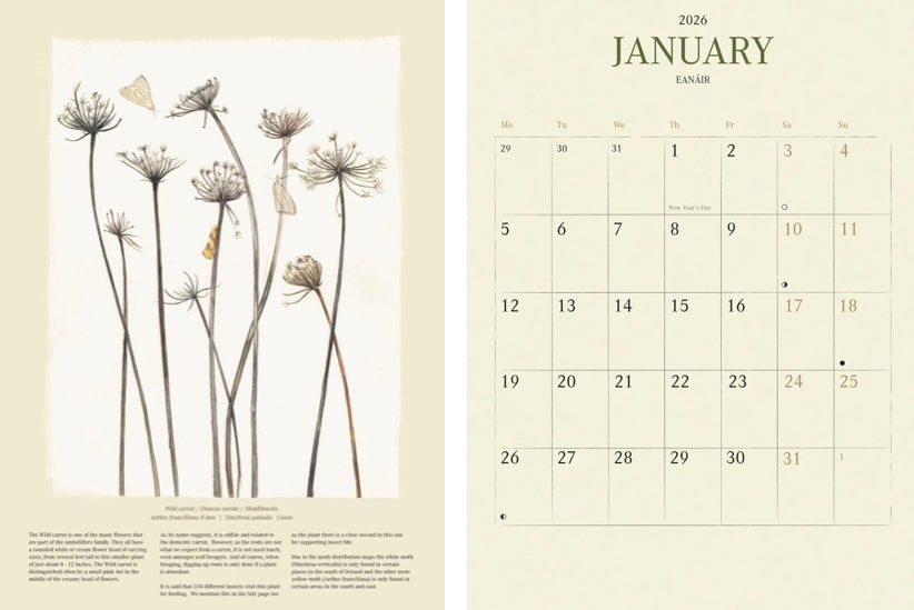 Kilcoe Calendar 2026: Irish wildflowers & moths
