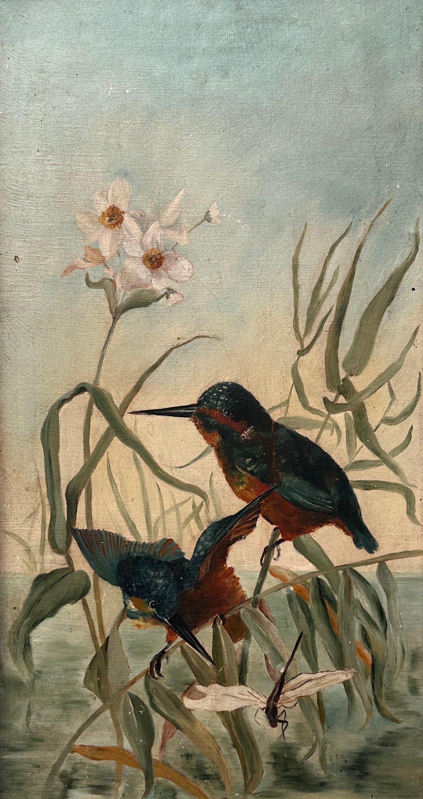 Anonymous,  Kingfishers and Dragonfly