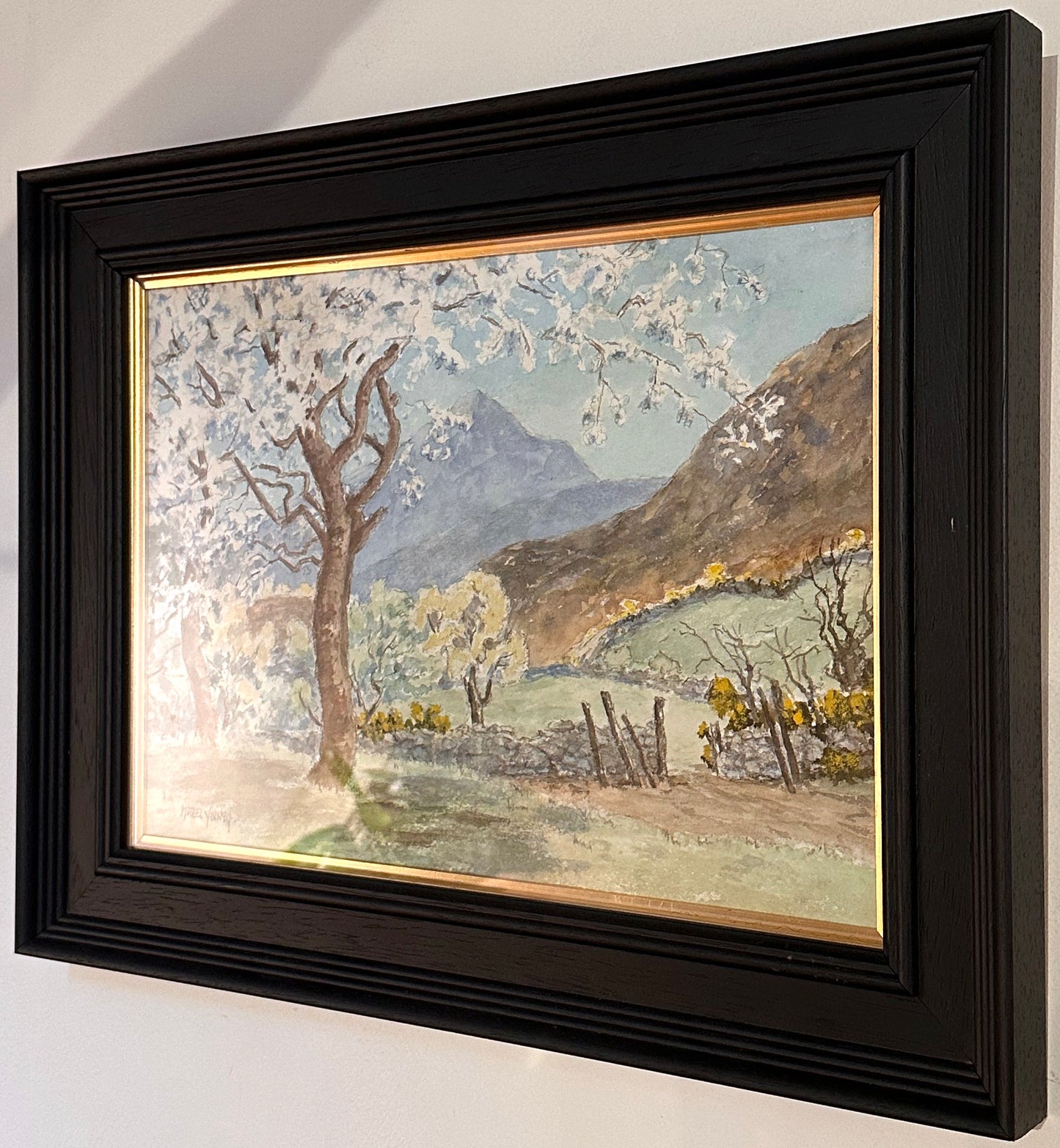 Mabel Young (1899 - 1974), Cherry Blossom