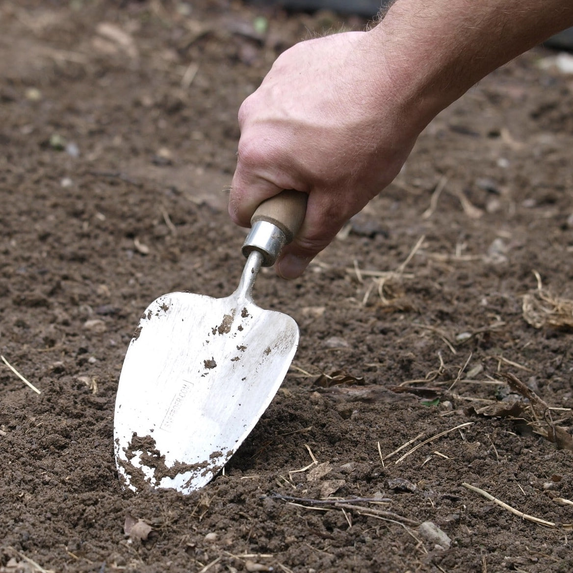 Sneeboer Transplanting Trowel