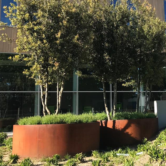 Corten steel planting bed, circular 100cm diameter