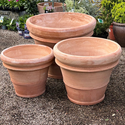 Italian terracotta 'Double Border' pot (multiple sizes)