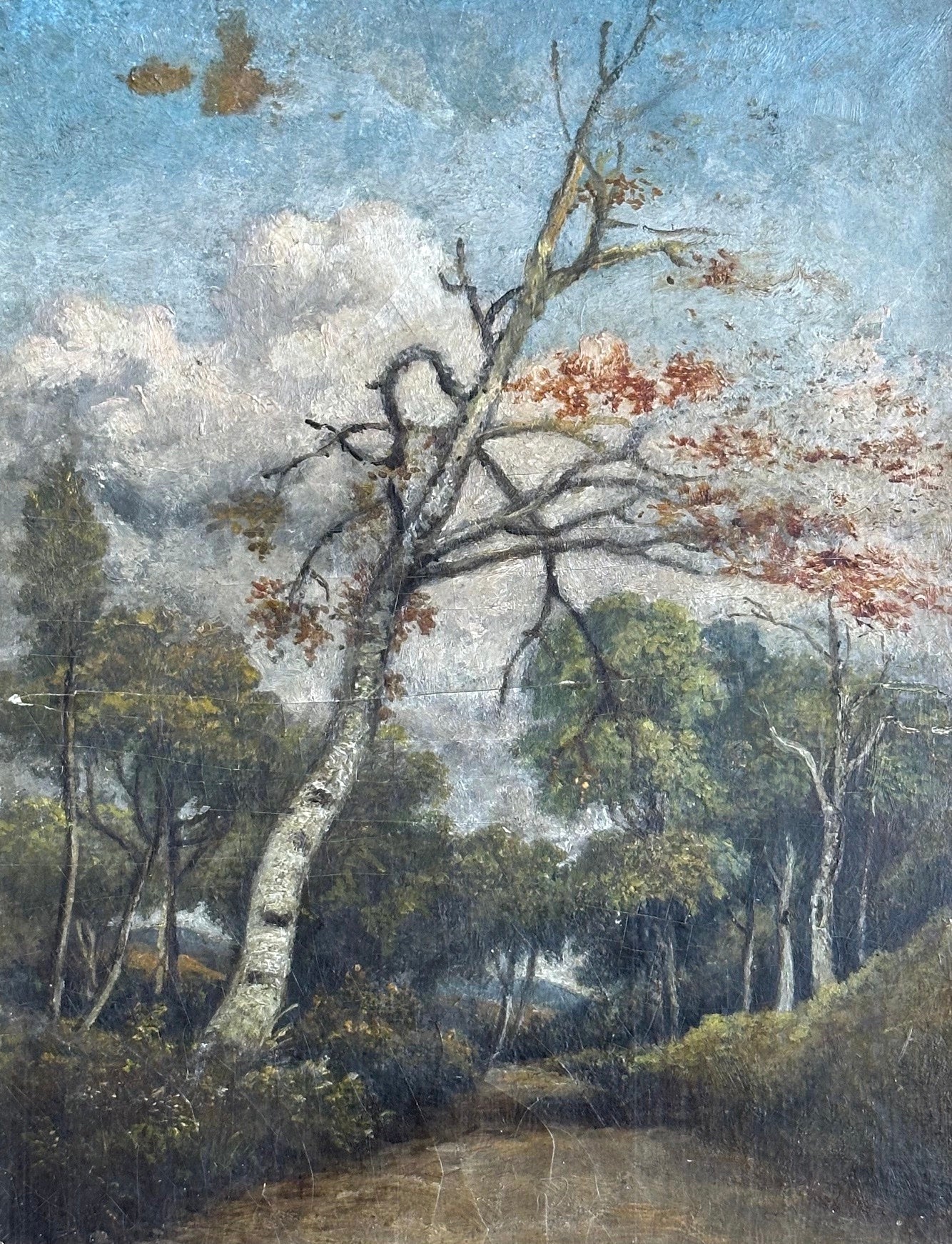 Mid 19th century, Landscape with Birch tree