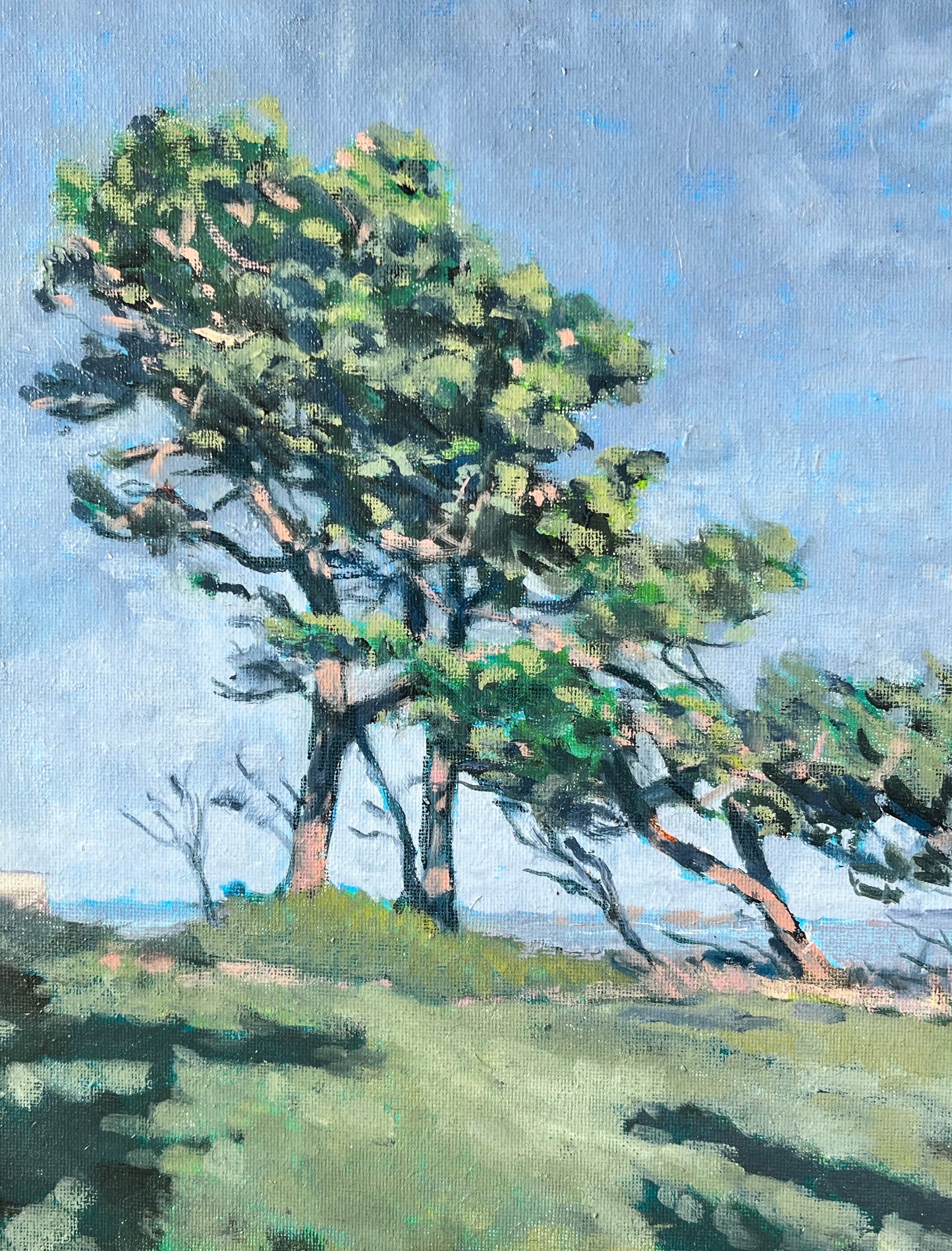 Ursula Celano, Dillons Park 1