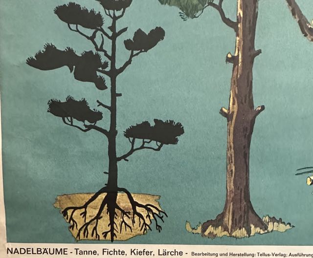 Original German 'Coniferous Trees' poster