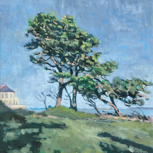 Ursula Celano, Dillons Park 1