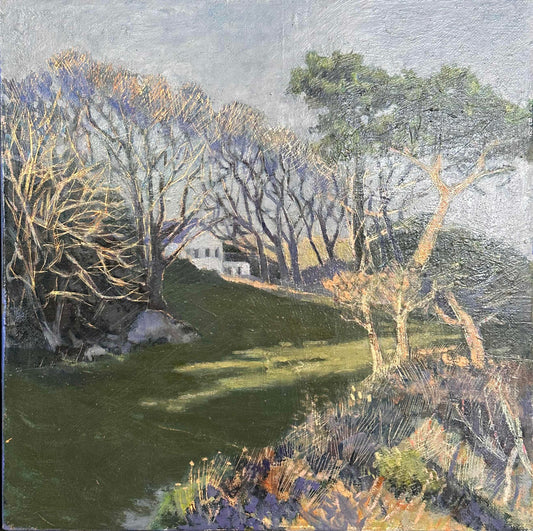 Ursula Celano, Dillons Park 2
