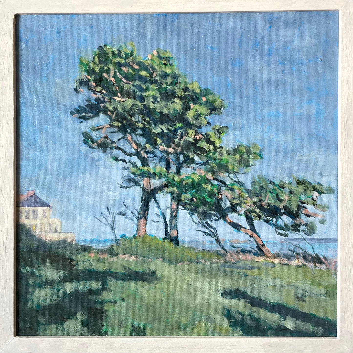 Ursula Celano, Dillons Park 1