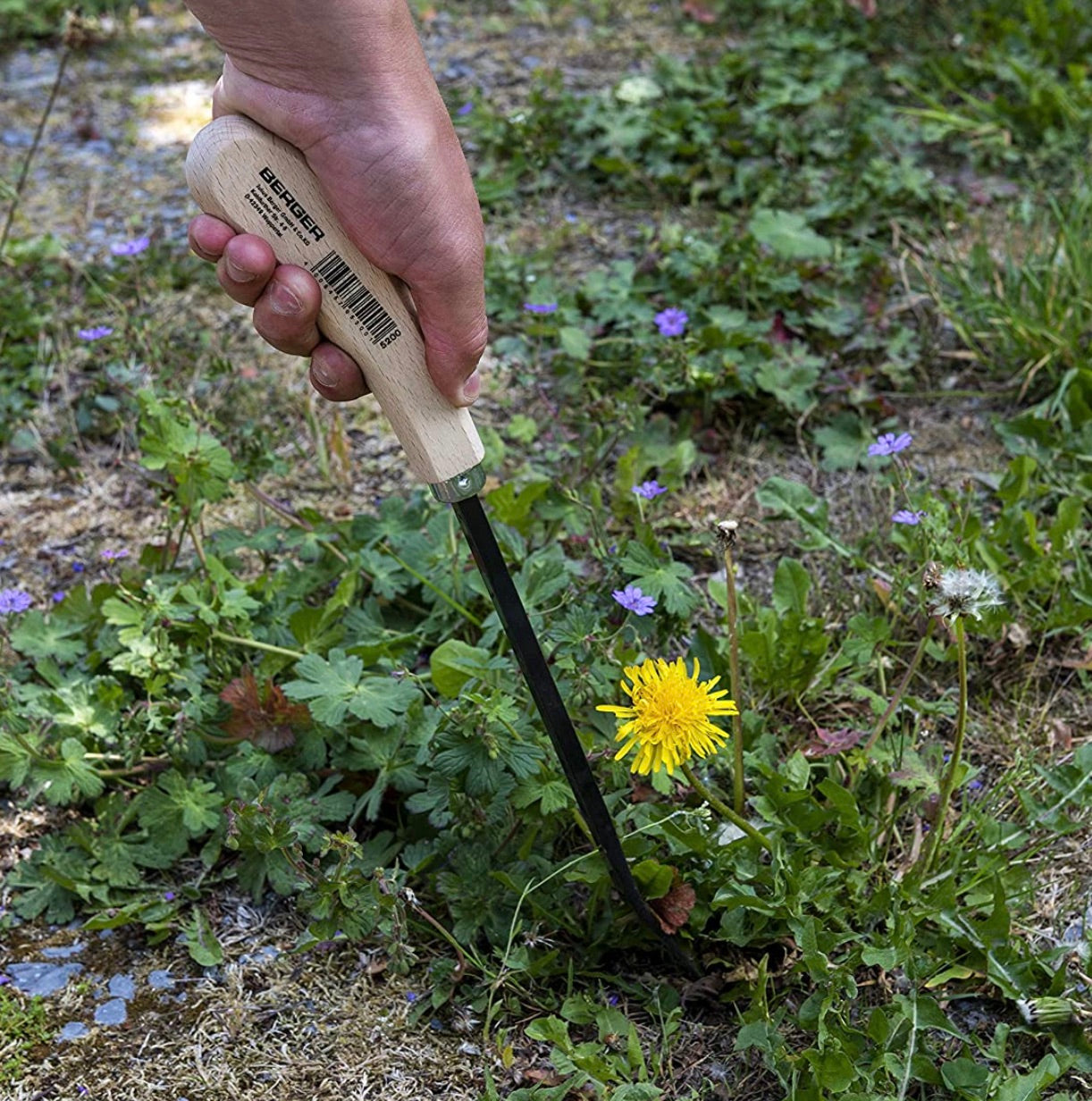 Berger asparagus & weed cutter