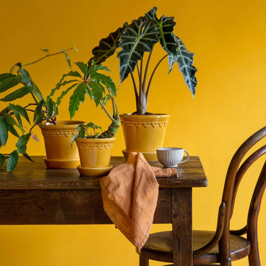 Bergs 'Copenhagen' pot & saucer, yellow glaze