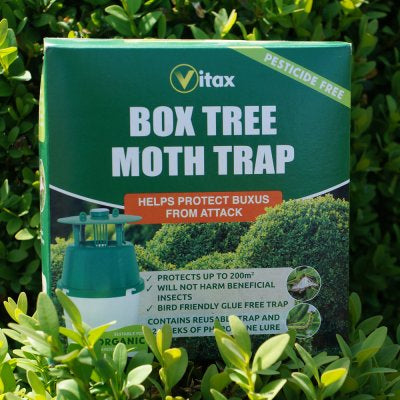 Box tree moth trap/ Pheromone trap against box caterpillars
