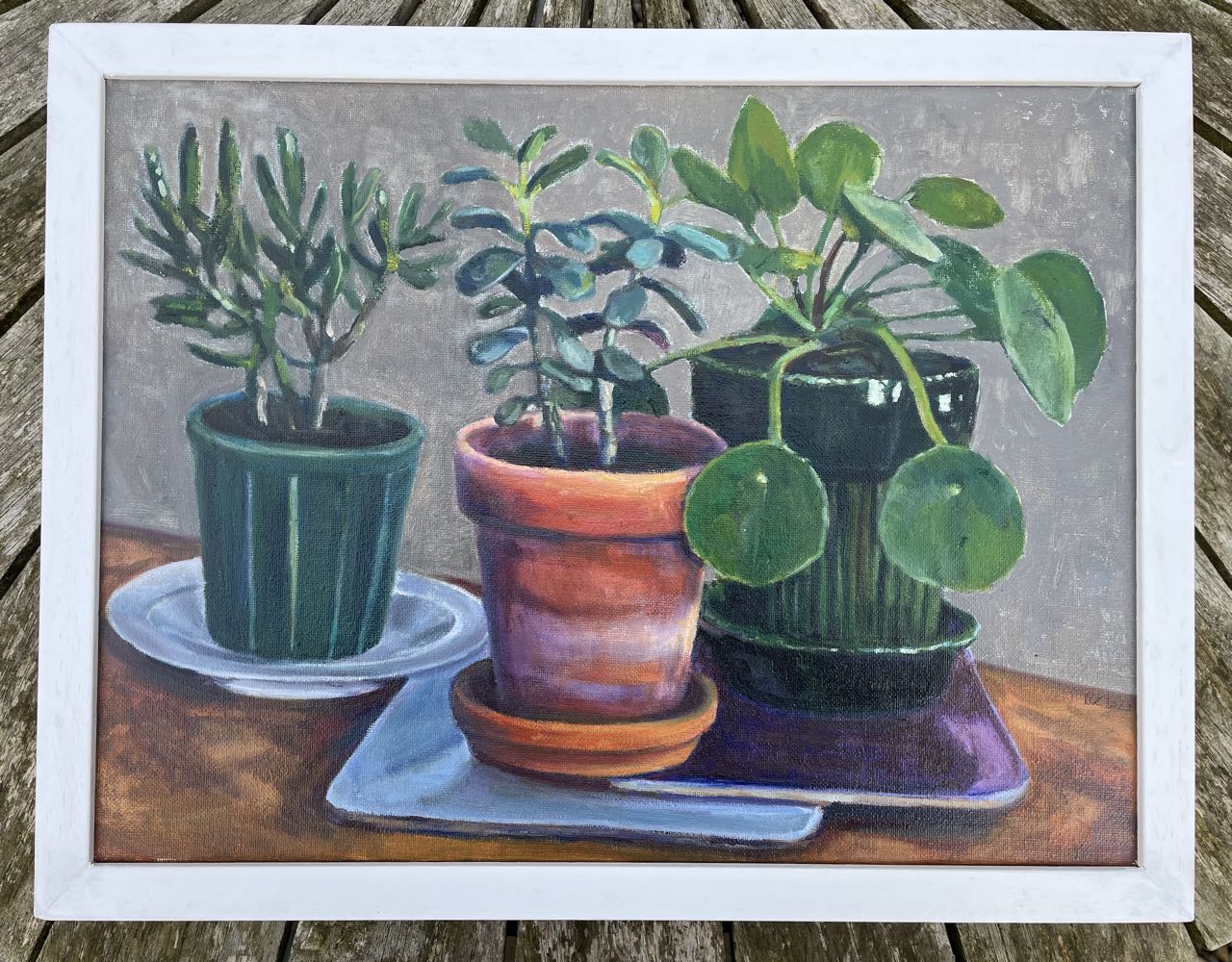 Ursula Celano, House plants and pots
