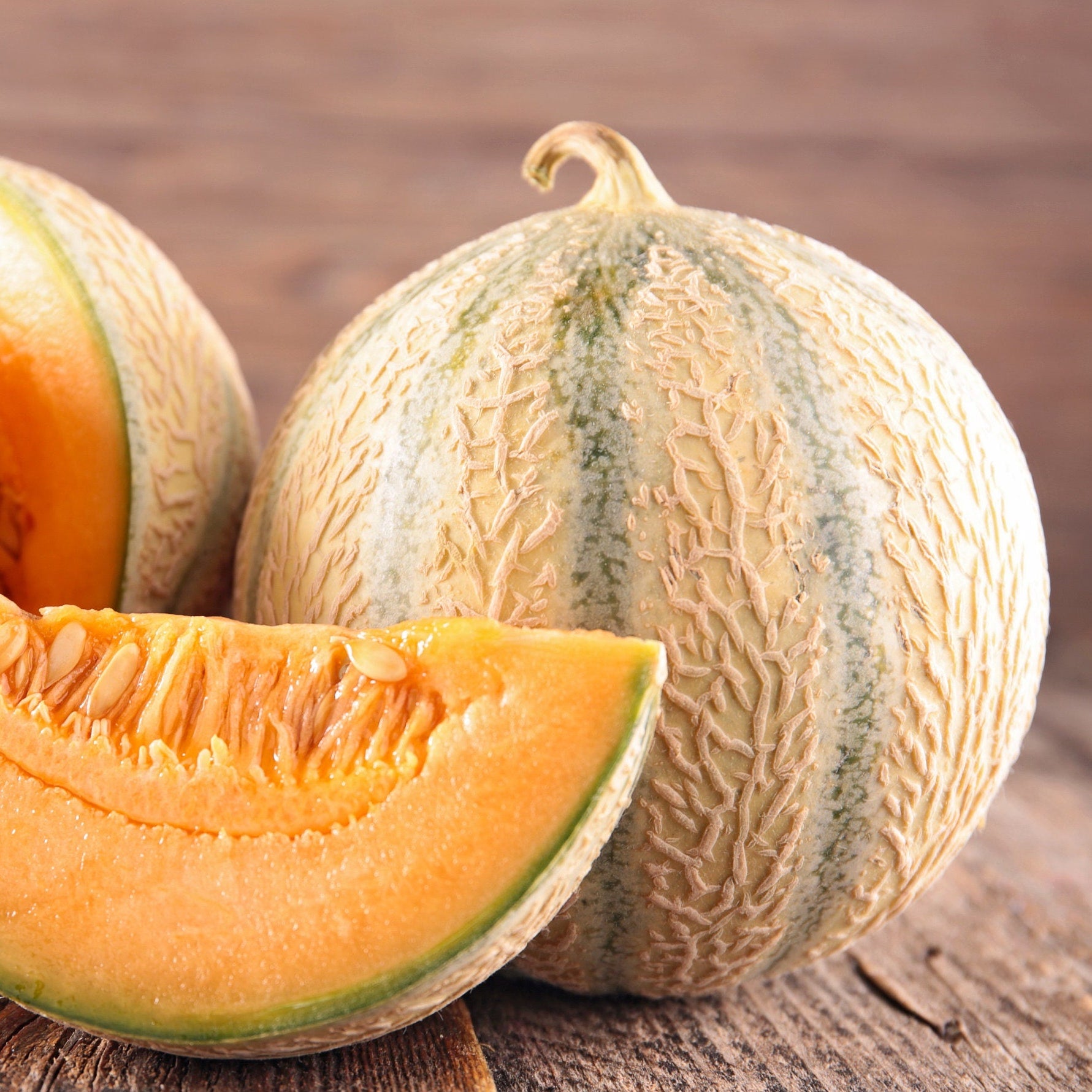 Melon seeds 'Cantaloupe di Charentais' Howbert & Mays