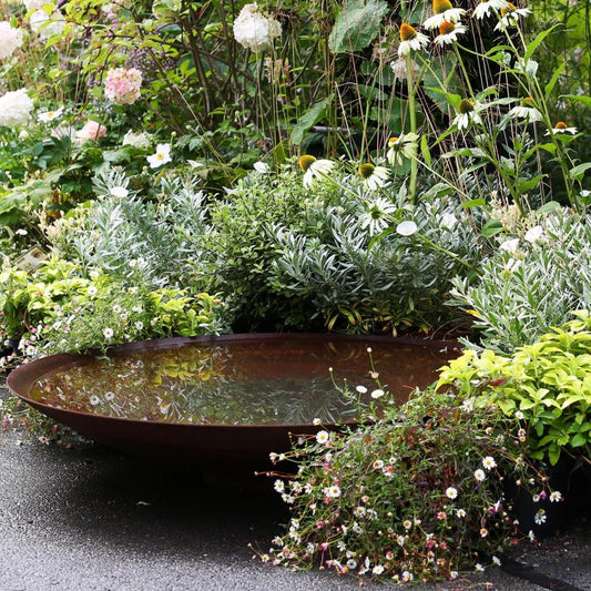 Corten steel water bowl, 100cm wide x 230deep