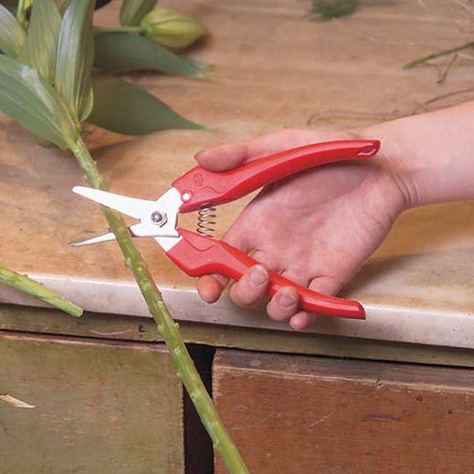 Felco pruning snips '310'