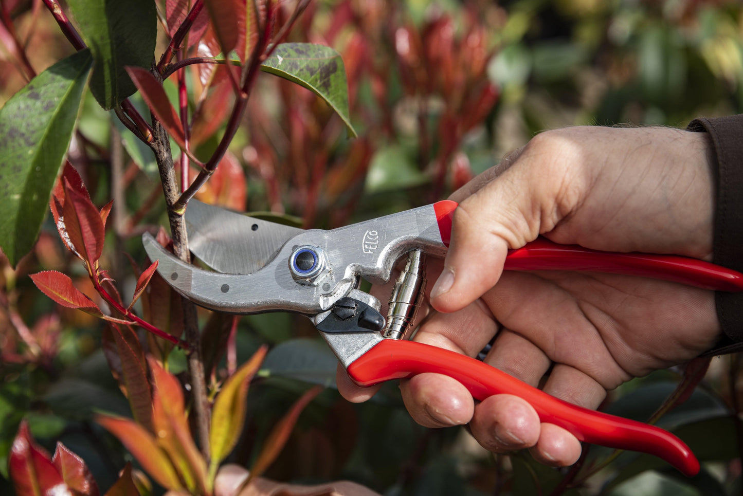 Felco 'No 4' secateurs