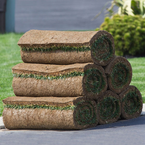 Grass sods / Roll out grass / Grass rolls (Dublin area only)