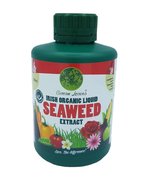Irish organic liquid seaweed extract fertiliser, 500ml (Ocean Leaves)