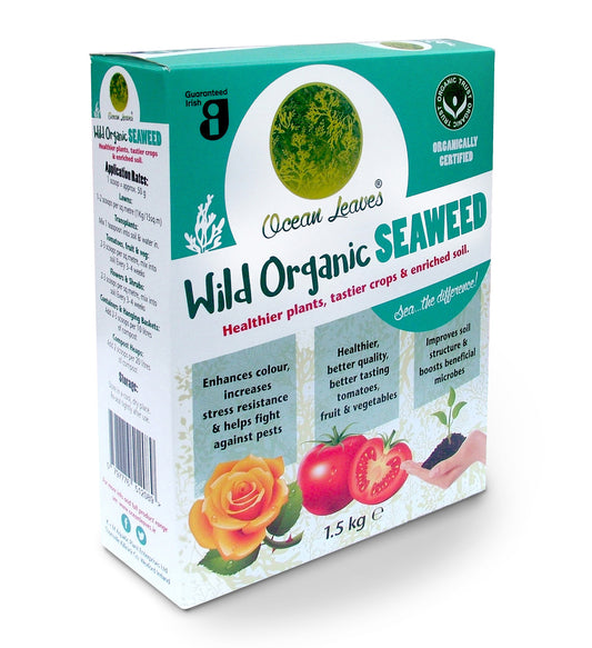 Irish organic dried seaweed fertiliser, 1.5kg box