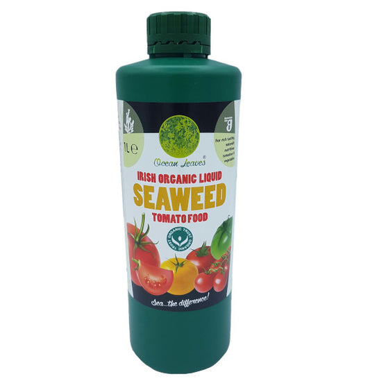 Irish organic liquid seaweed extract tomato fertiliser, 1 litre (Ocean Leaves)