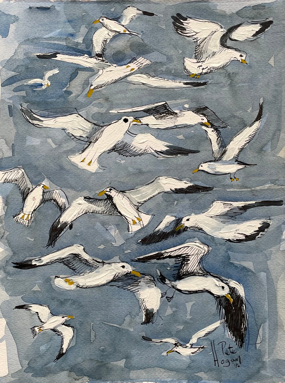 Pete Hogan, Seagulls