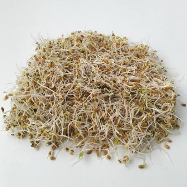 Sprouting seeds, certified organic (Keimgrun seeds)