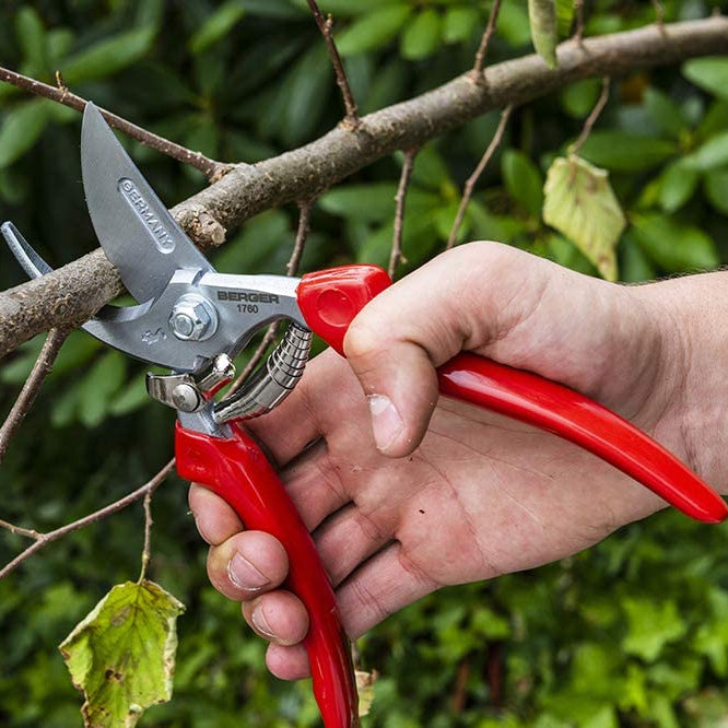 Berger secateurs (1760)