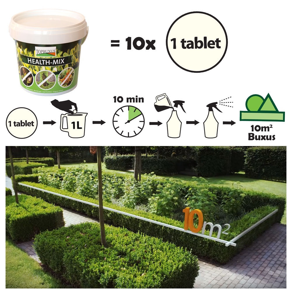 Top Buxus 'Health Mix' fertiliser against box blight (10 tablets)