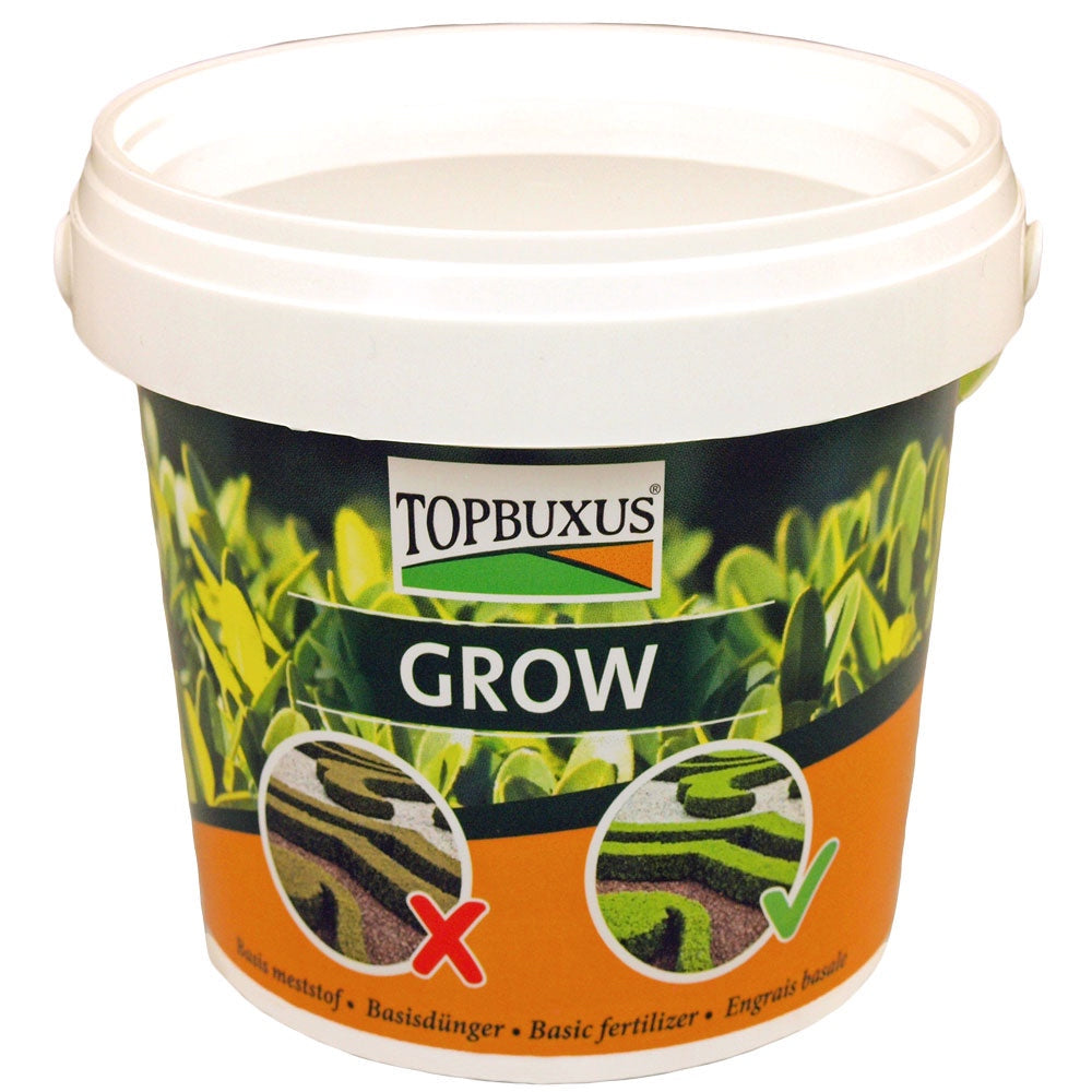 Top Buxus 'Grow' fertilser for box plants (500g)