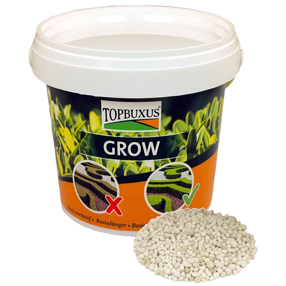 Top Buxus 'Grow' fertilser for box plants (500g)