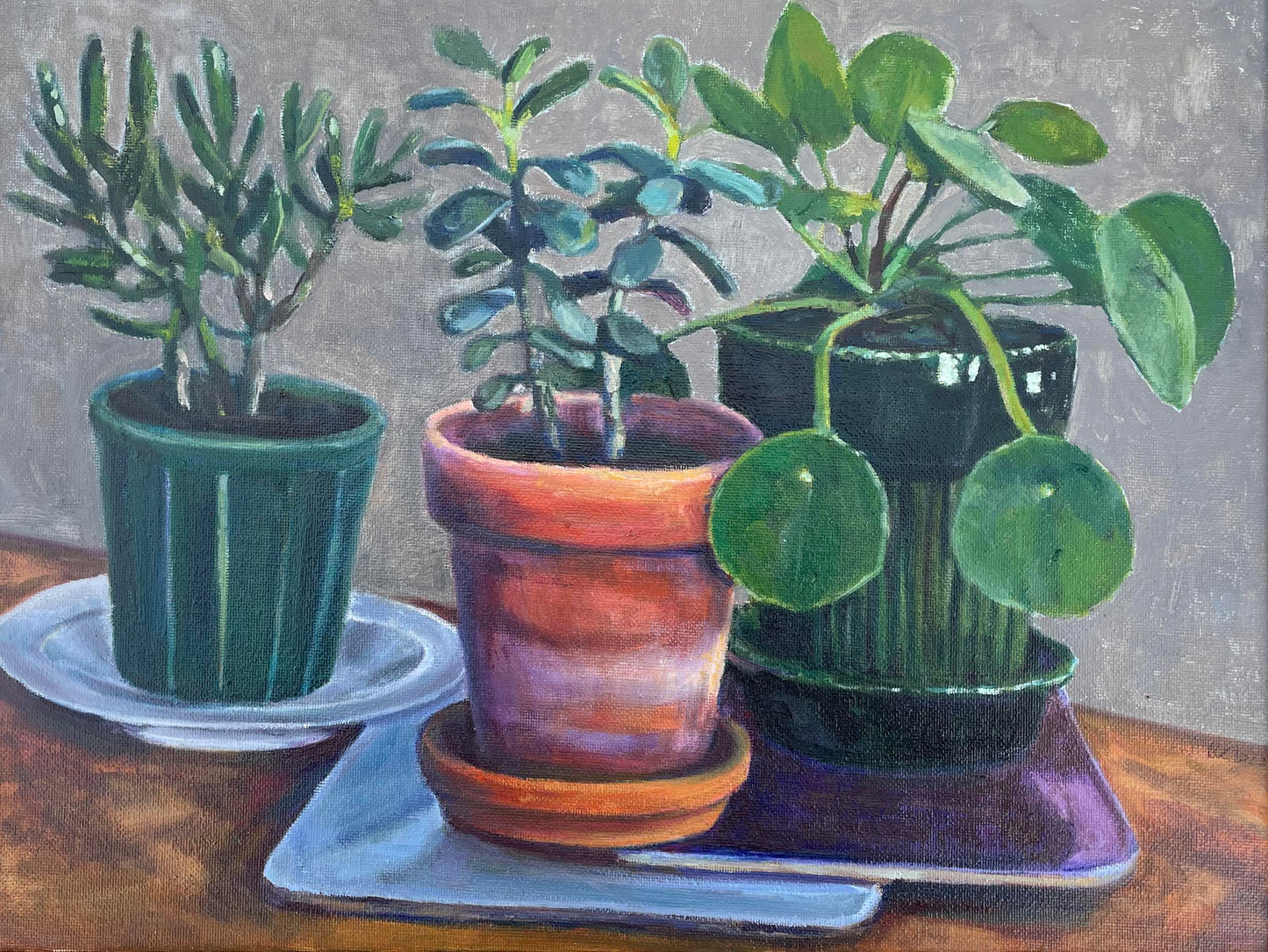 Ursula Celano, House plants and pots
