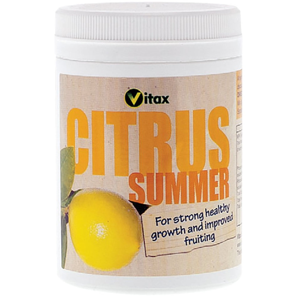 Citrus summer food, 200g