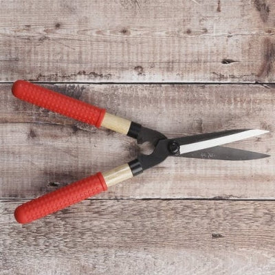 Niwaki mini shears, for hedges & topiary