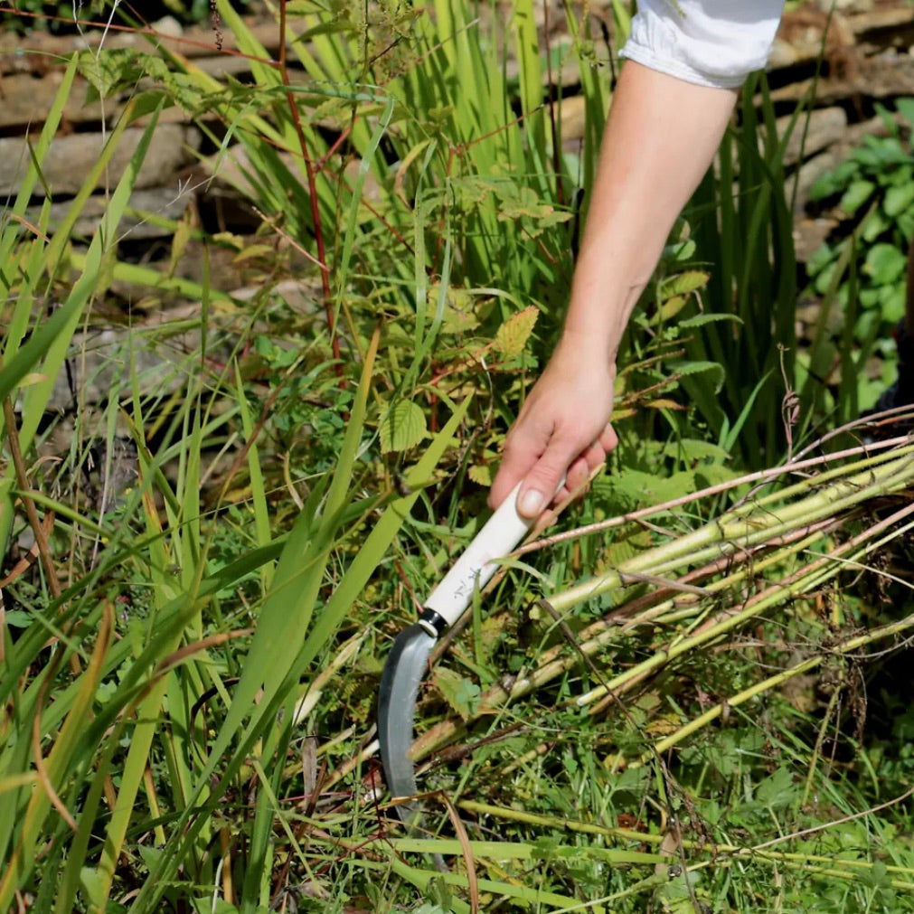 Herbaceous sickle, Niwaki