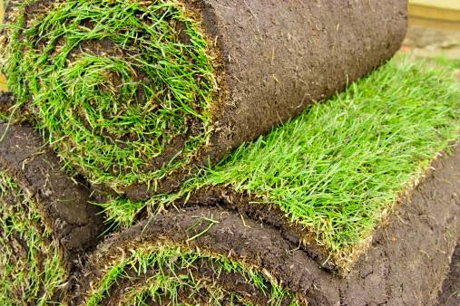 Roll out grass sods / lawn turf, delivery in the Dublin region