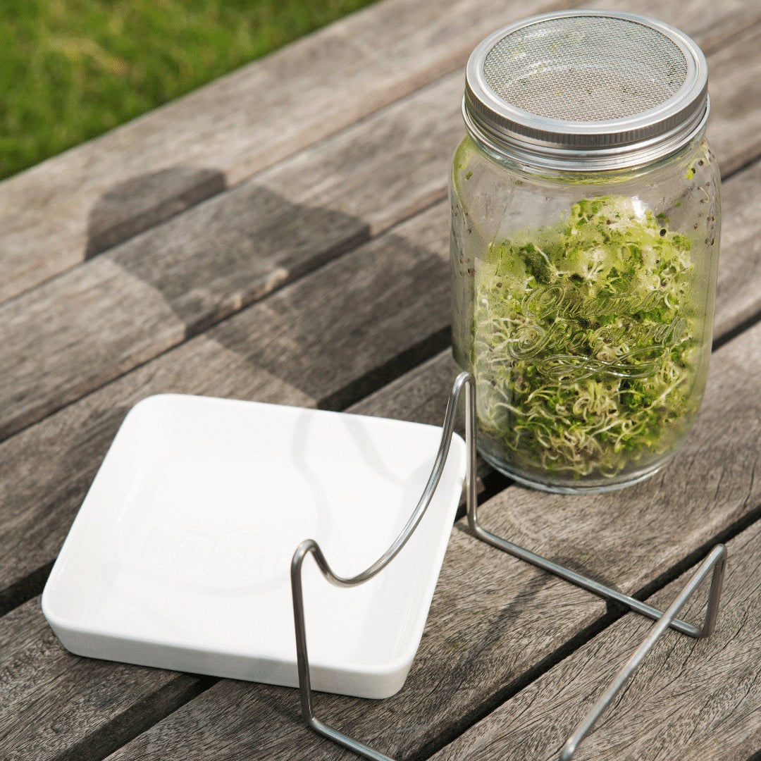 Sprouting jar, holder & tray